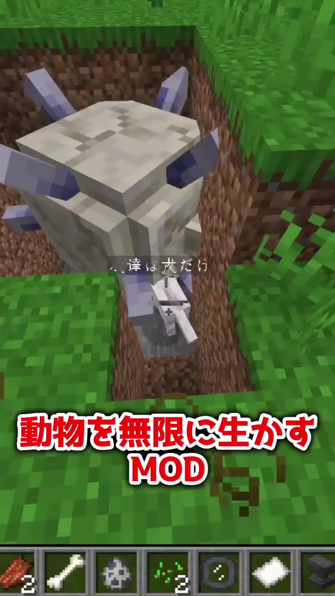 @鎖骨バナナ