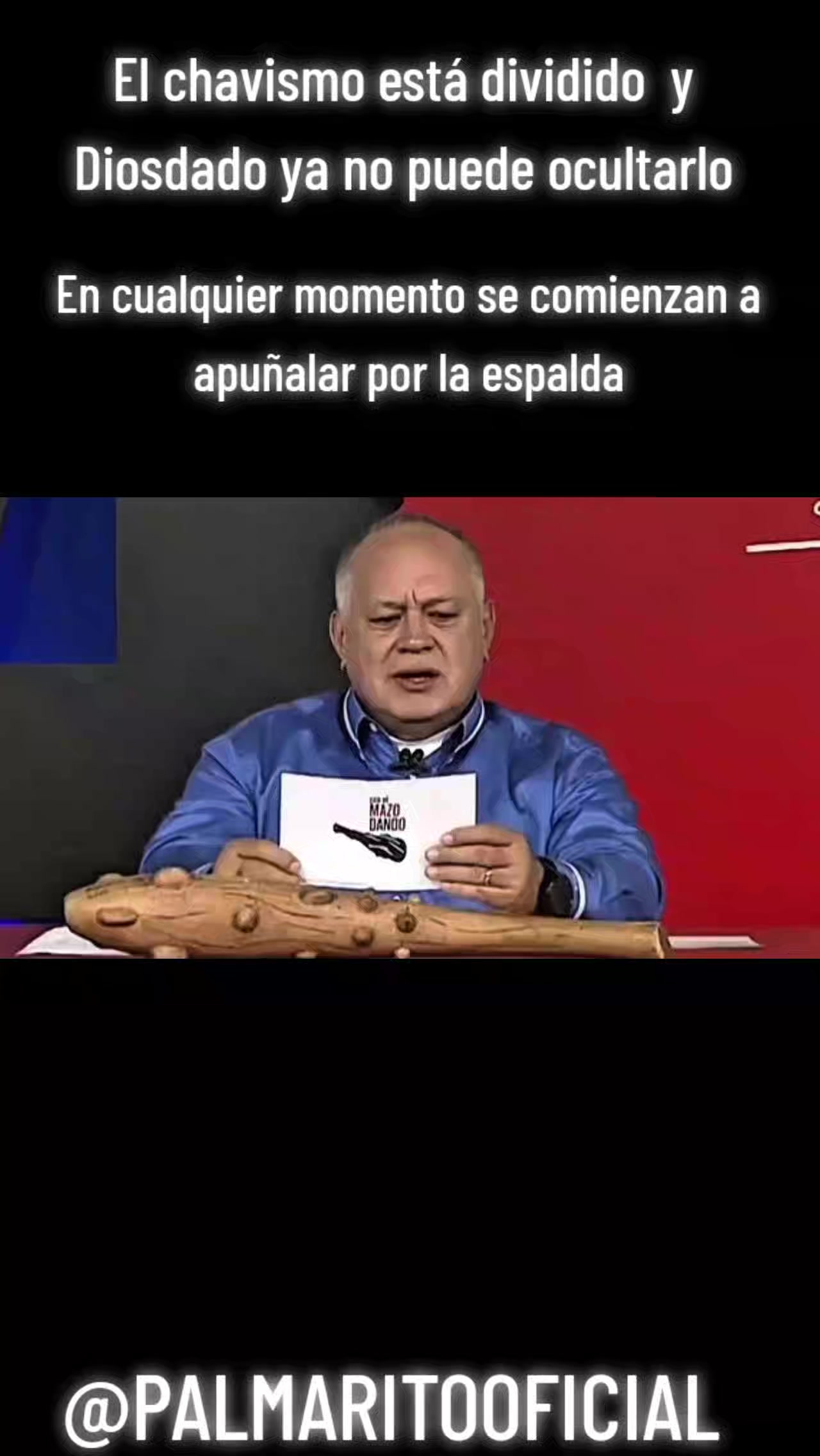 @PALMARITOOFICIAL 🌵