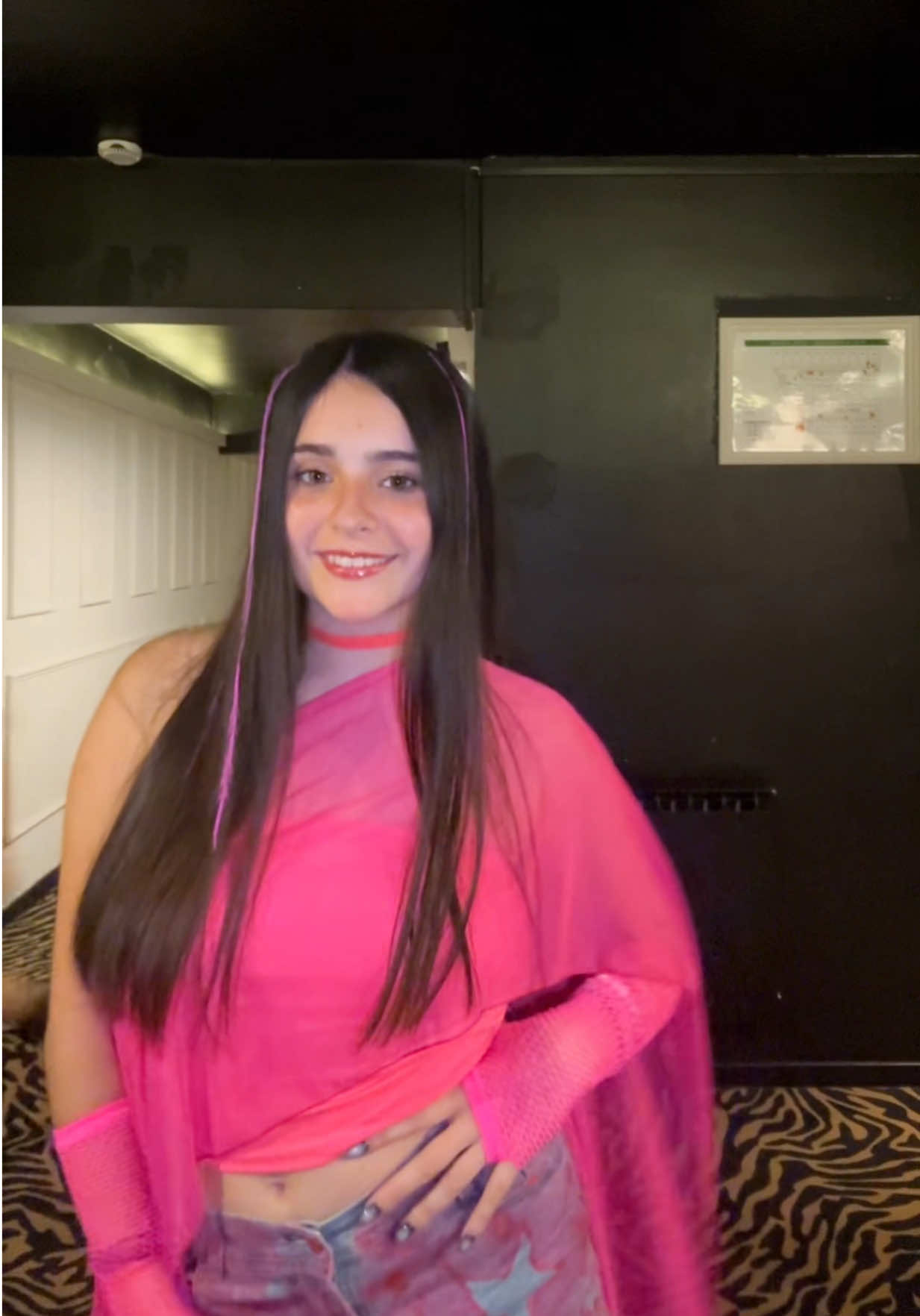 @camilucha