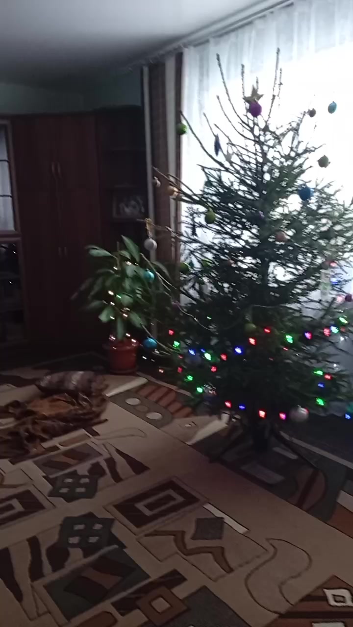 @SAVIKAVIK