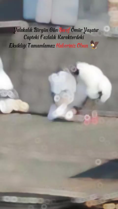 @𝓜𝓮𝓱𝓶𝓮𝓽 𝓐𝓵𝓲𝔂𝓪𝓼̧𝓪𝓻