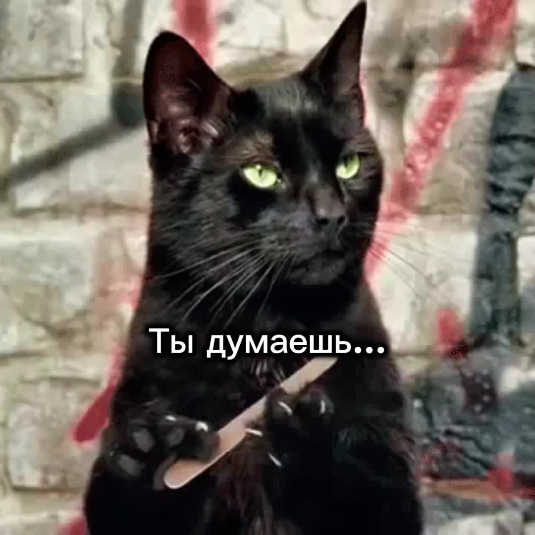 @♕︎𝐖𝐞𝐧𝐤𝐥𝐞𝐫🖤