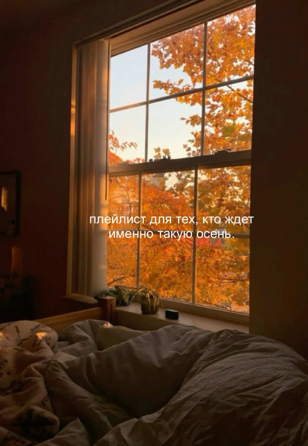 @tg:Playlists by Julia Berg