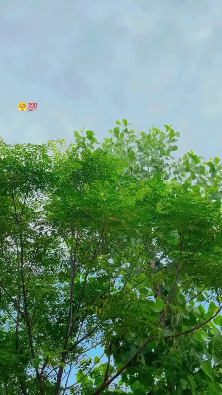 @🚬»ستا_ليونی«