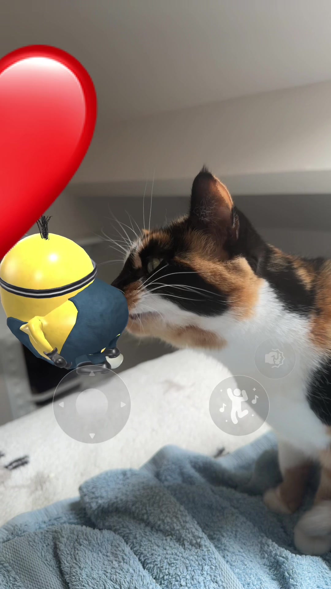 @maya🐈🎵