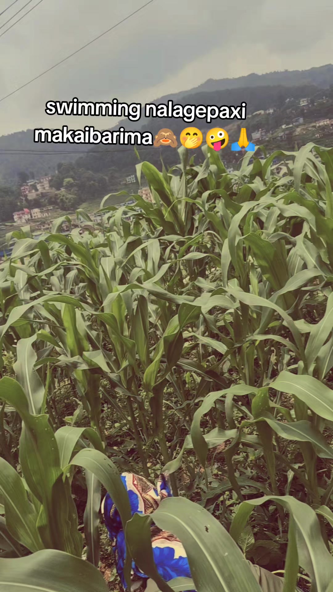 @Radhika Shrestha720