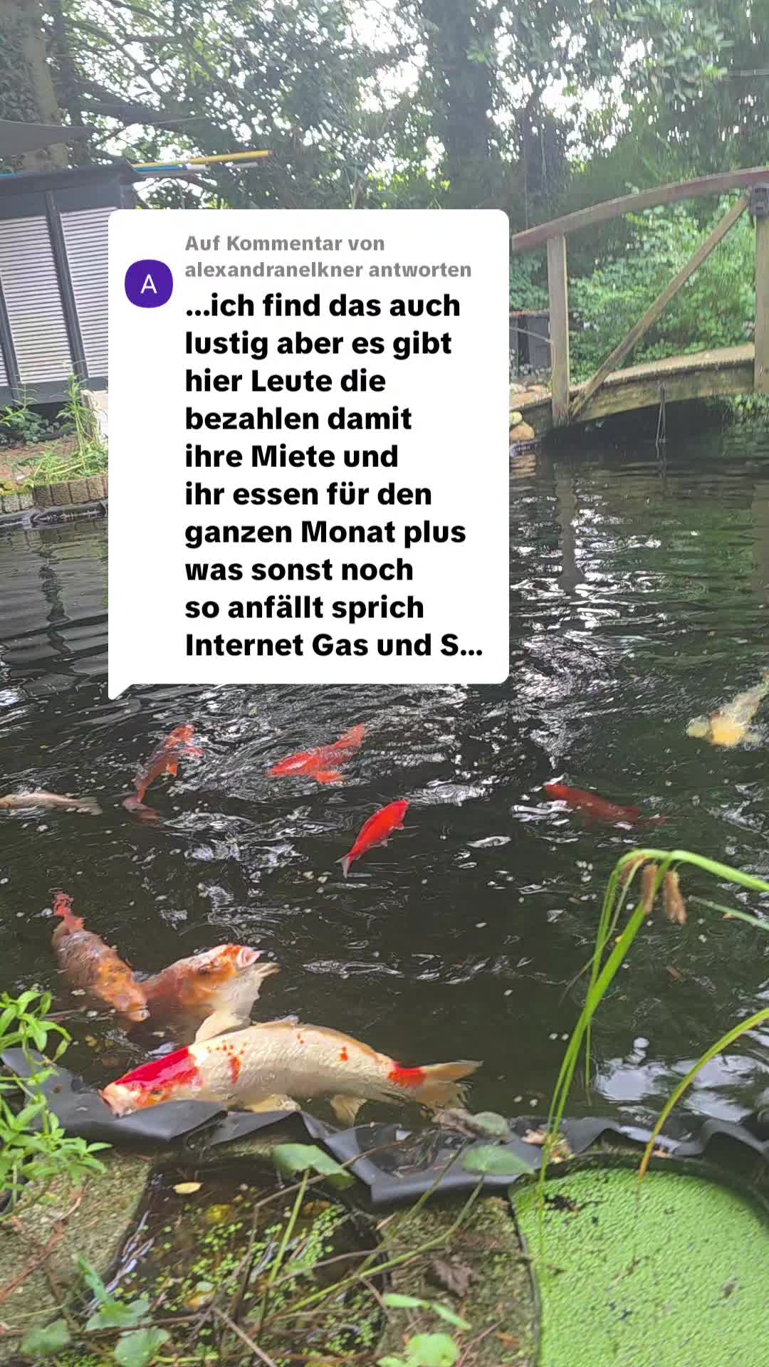 @Janine&Schatzi die echten