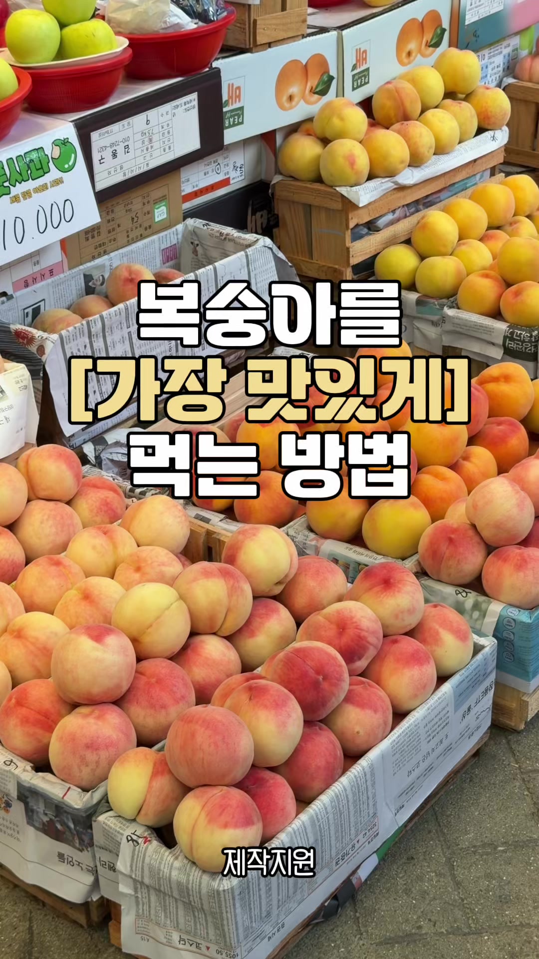 @킴보