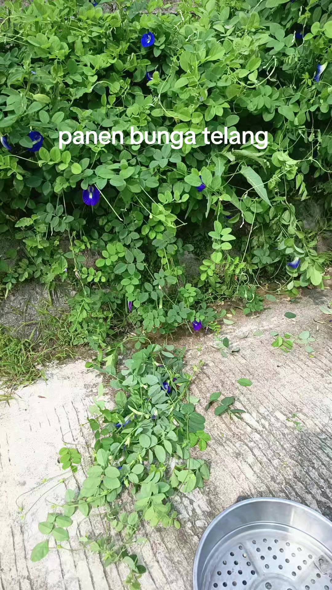 @Toko Bu Fia
