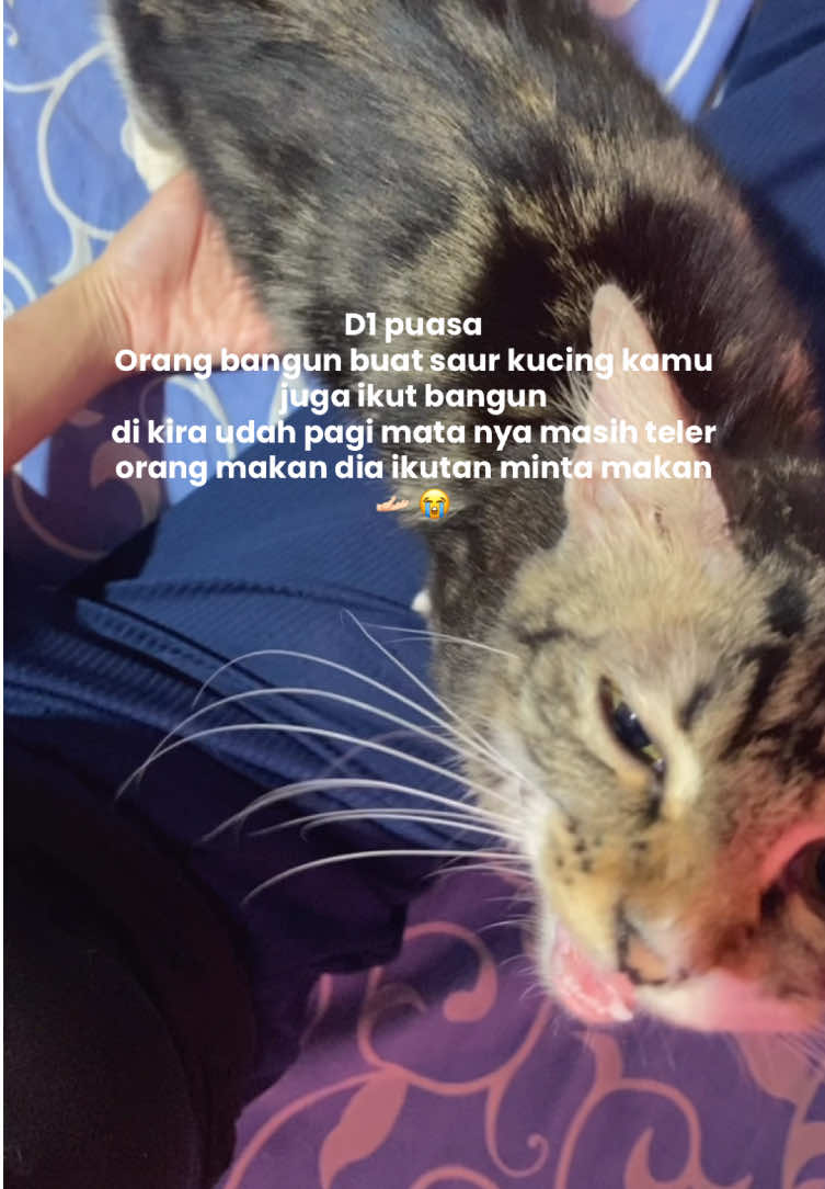 @Cikchubwa