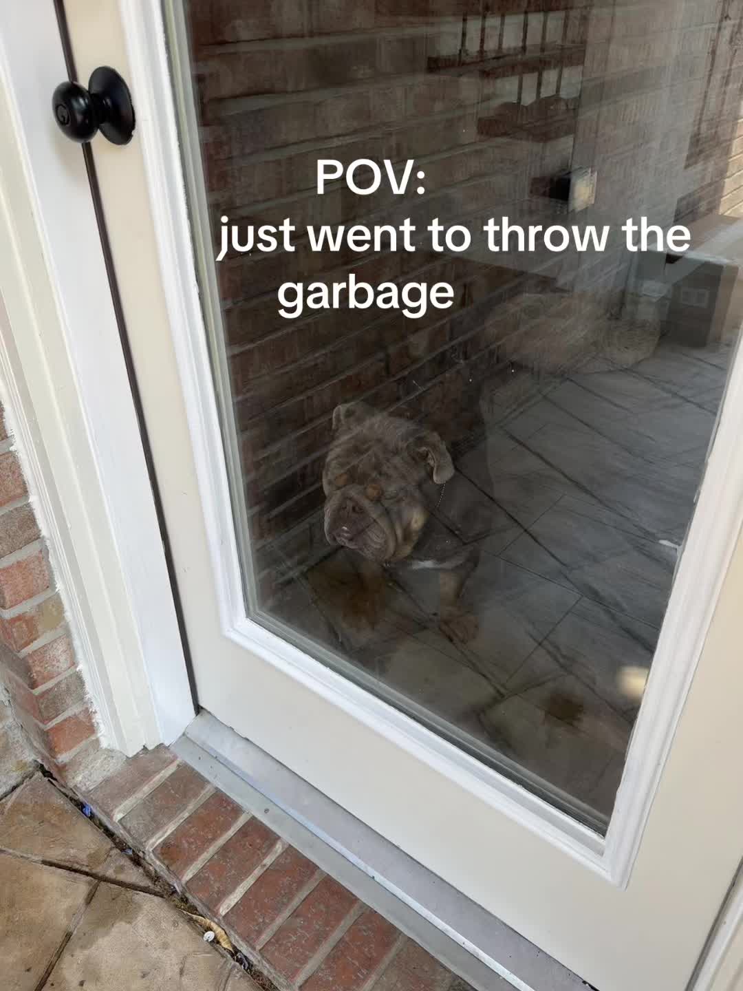 @RawlsTheBulldog