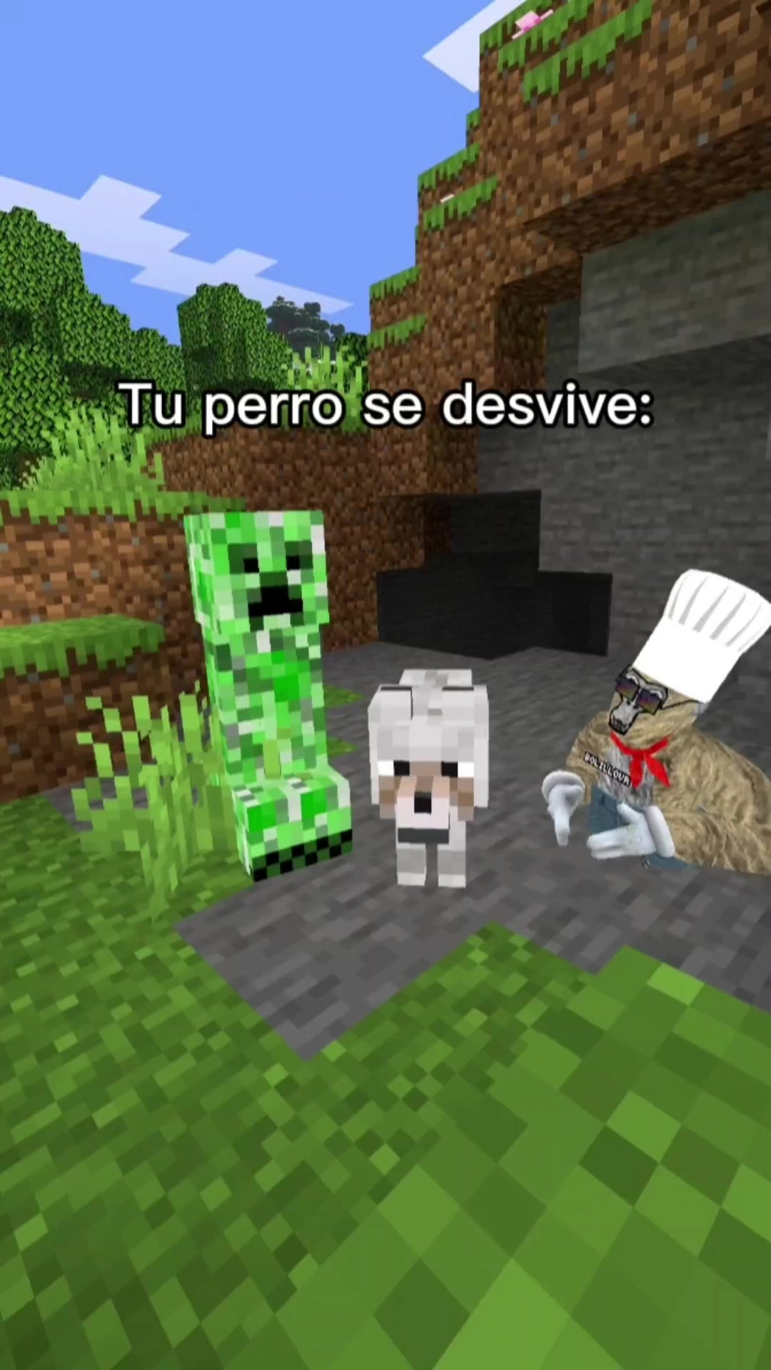 @BolilloVR