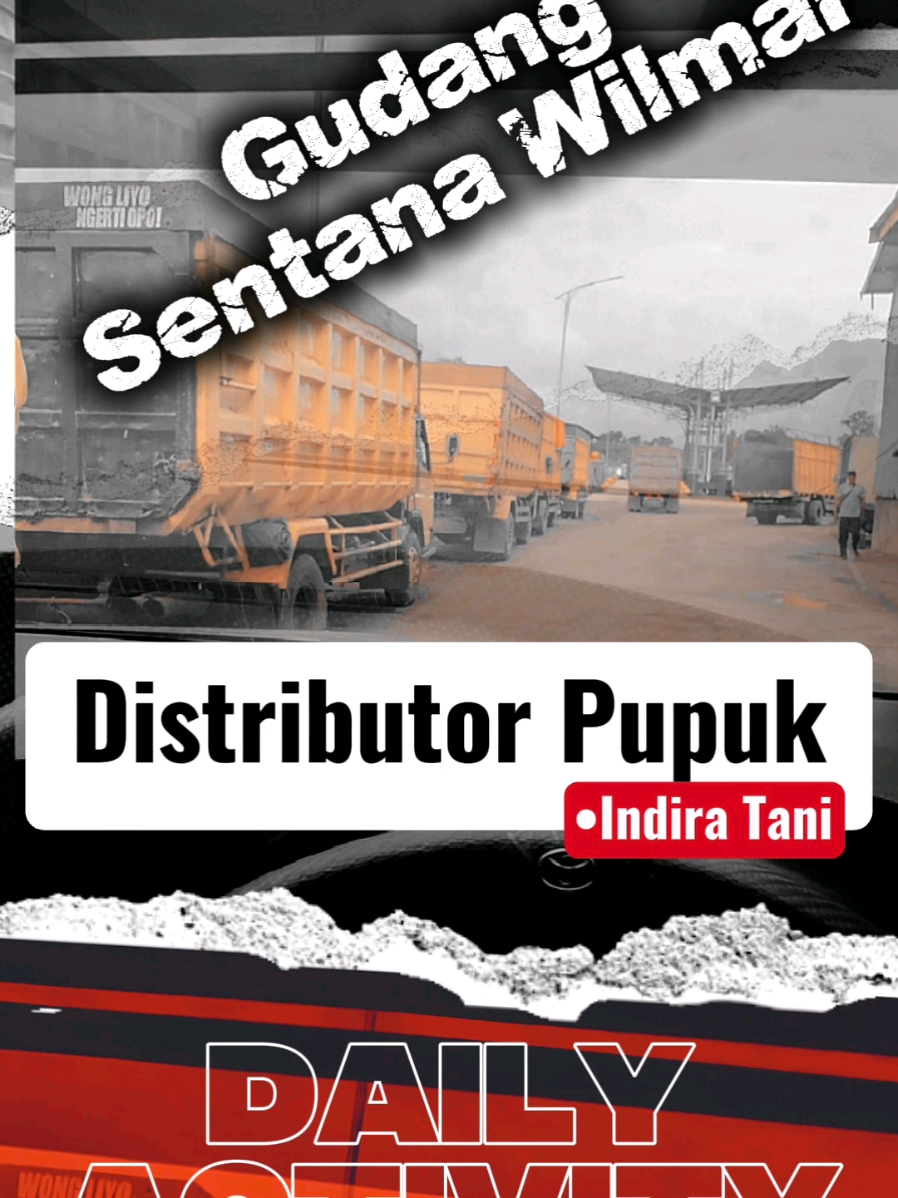 @Indira Tani Sampit