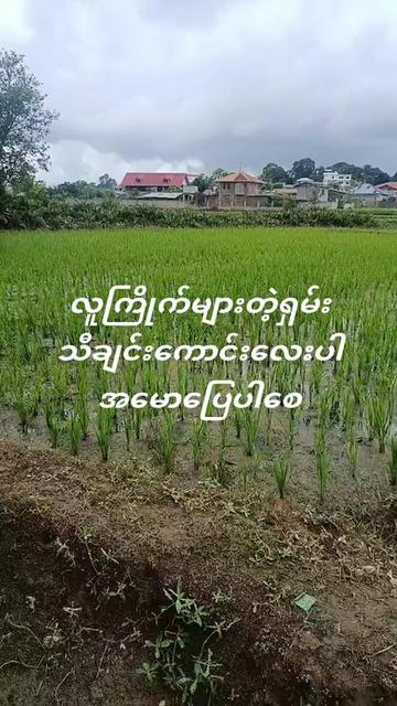 @Sai Lone