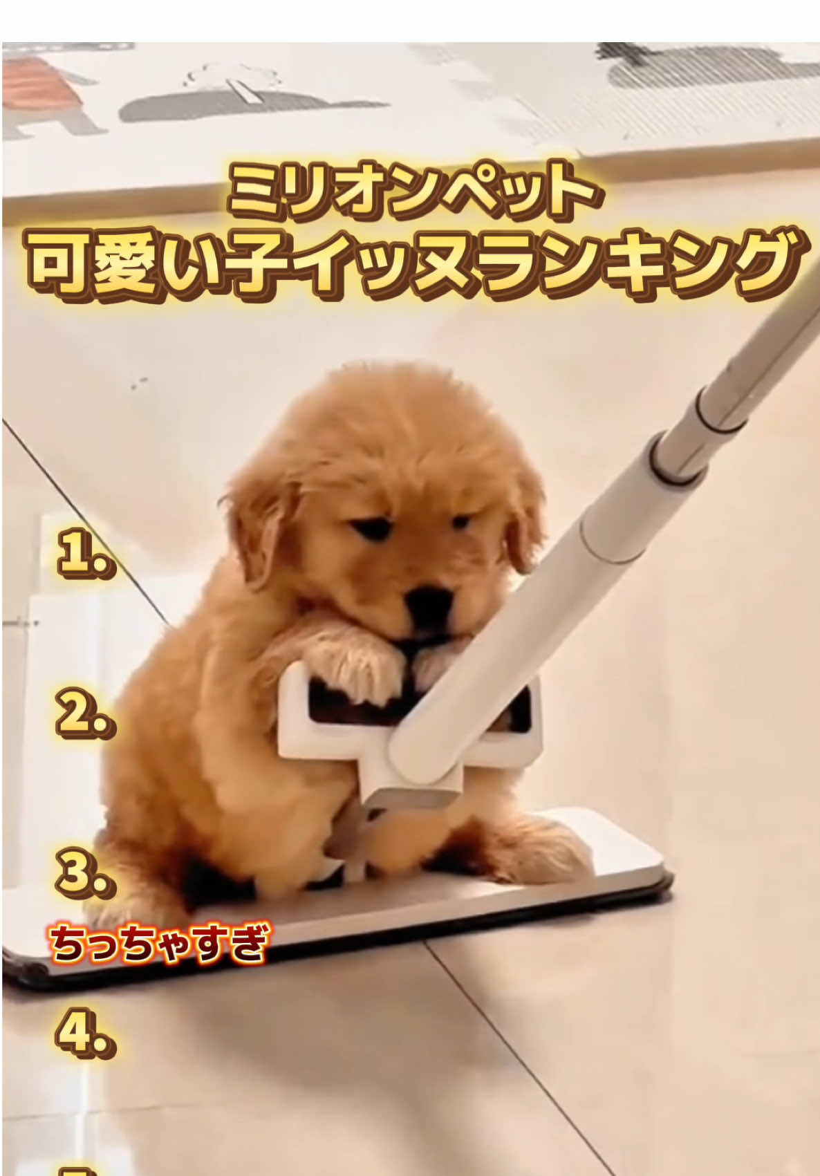 @ミリオンペット