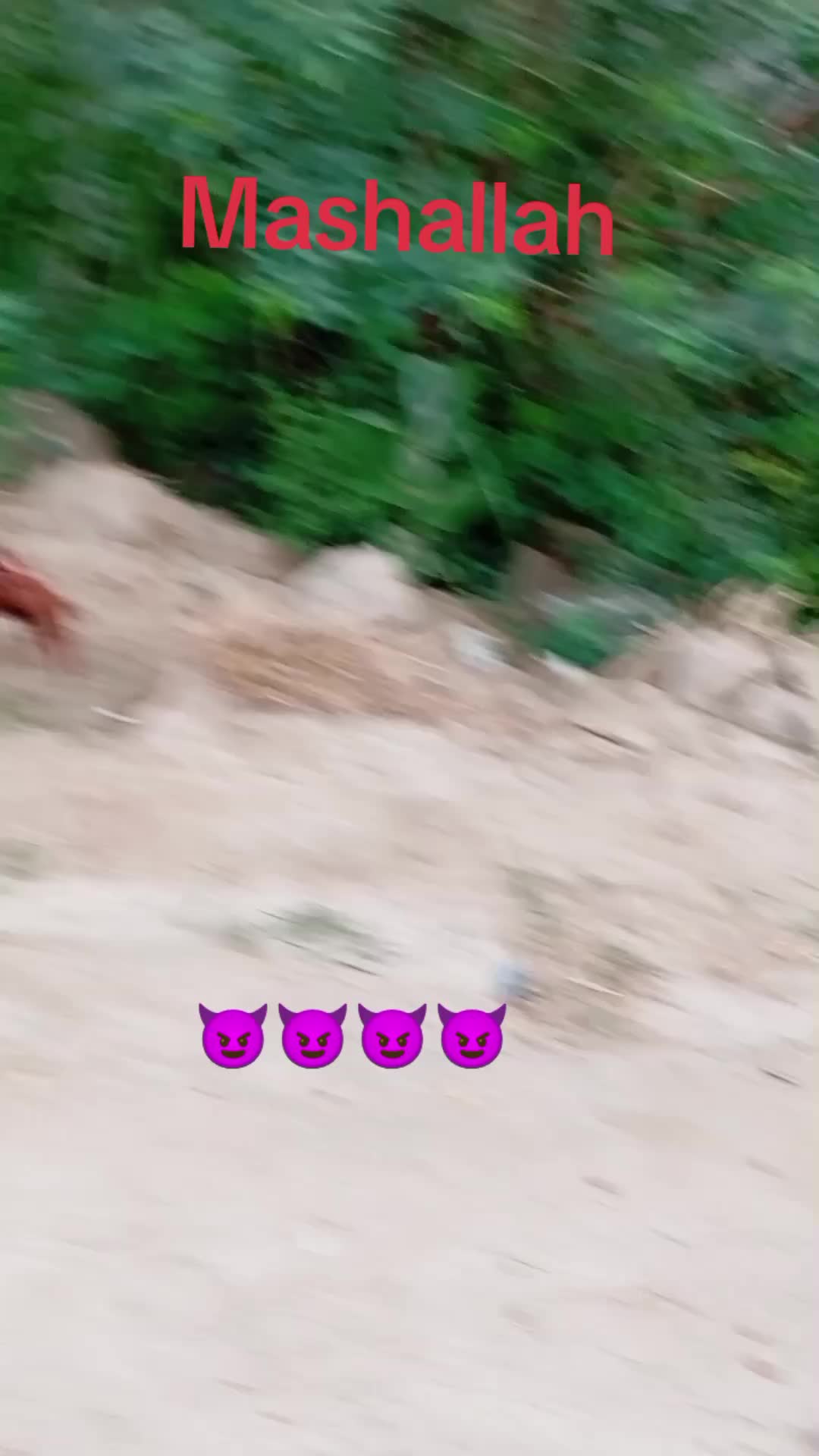 @🏴&zwj;☠️GUJJARگورسی🏴&zwj;☠️