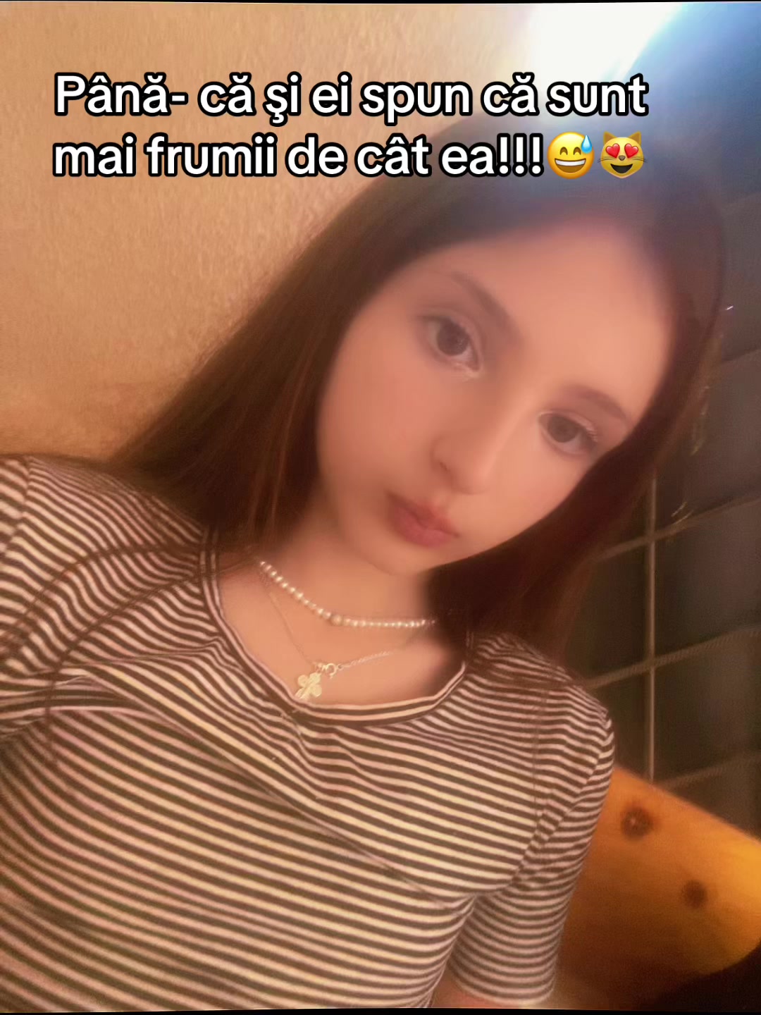 @🦈