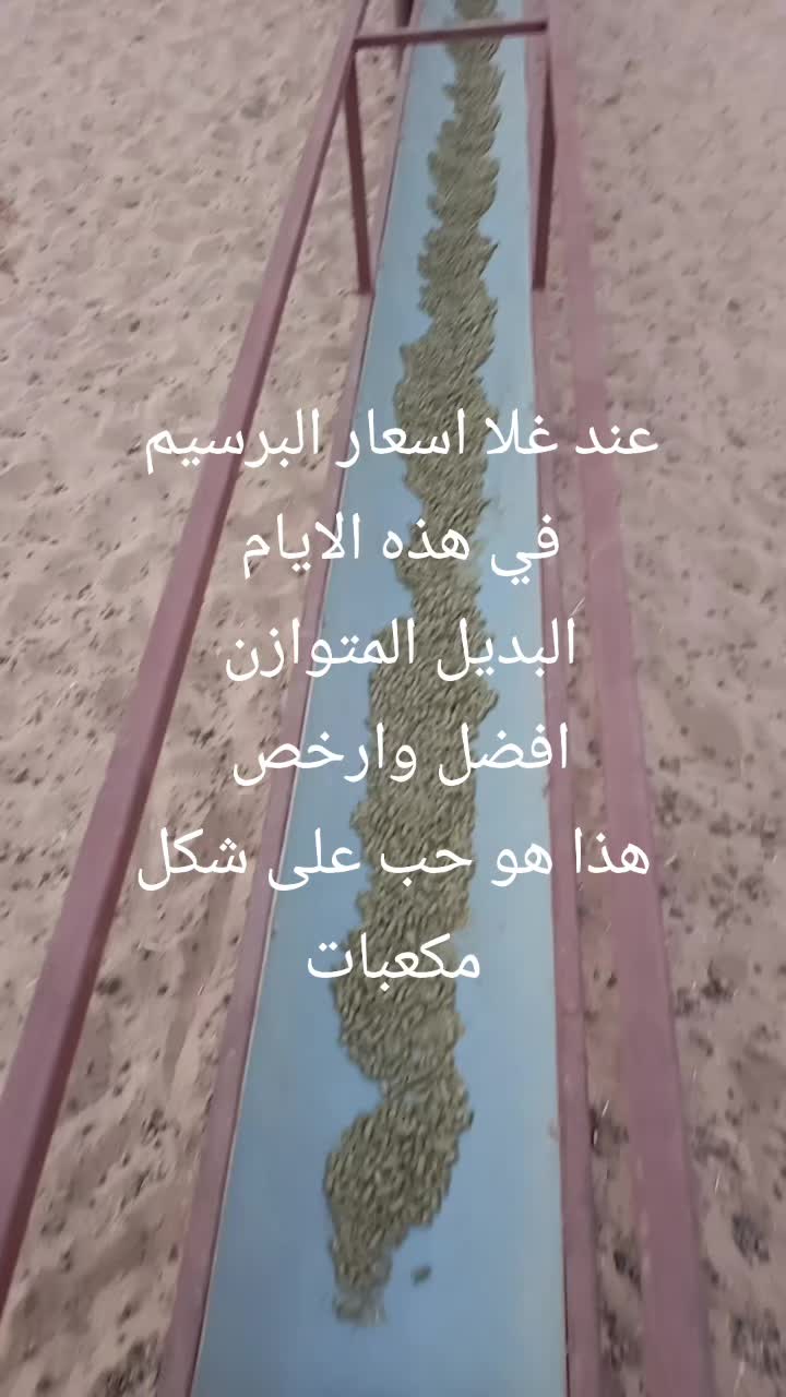 @شامي