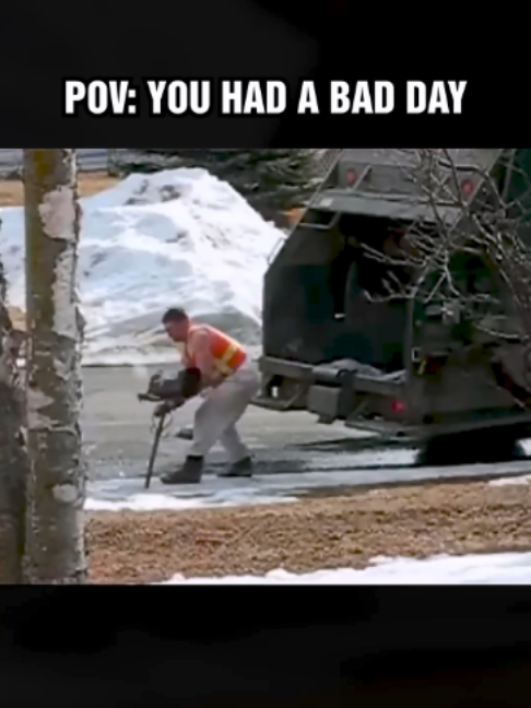 @DailyGoose