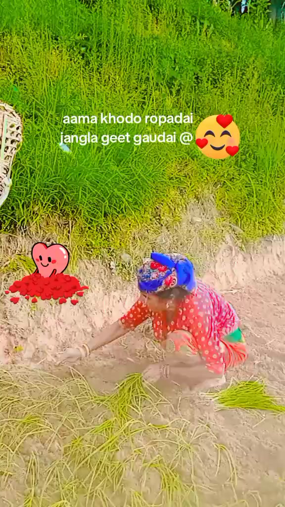 @kushum d r