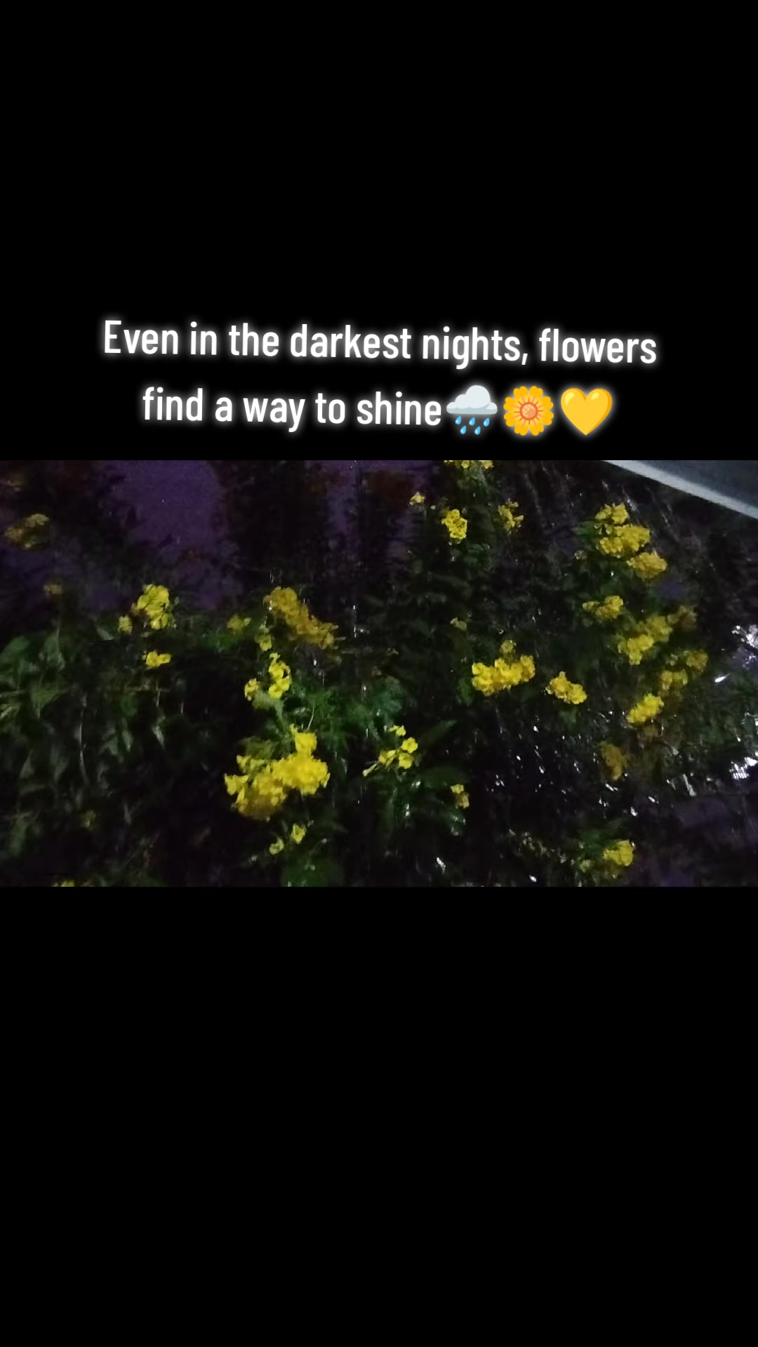 @Riya❤️🦚✨