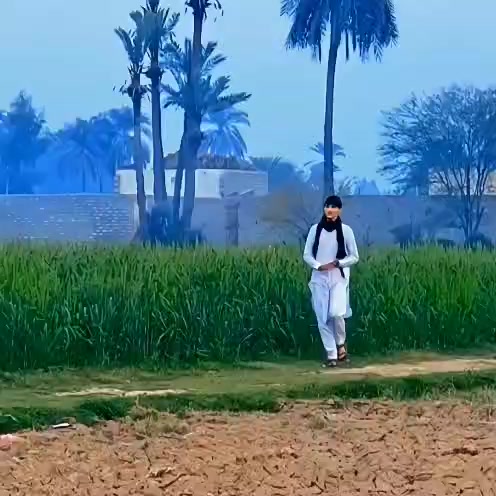 @sherkhan
