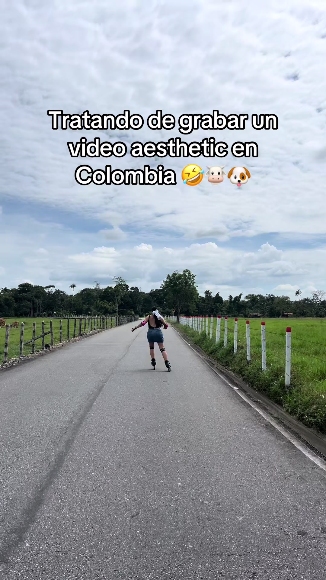 @Andrea Navarro