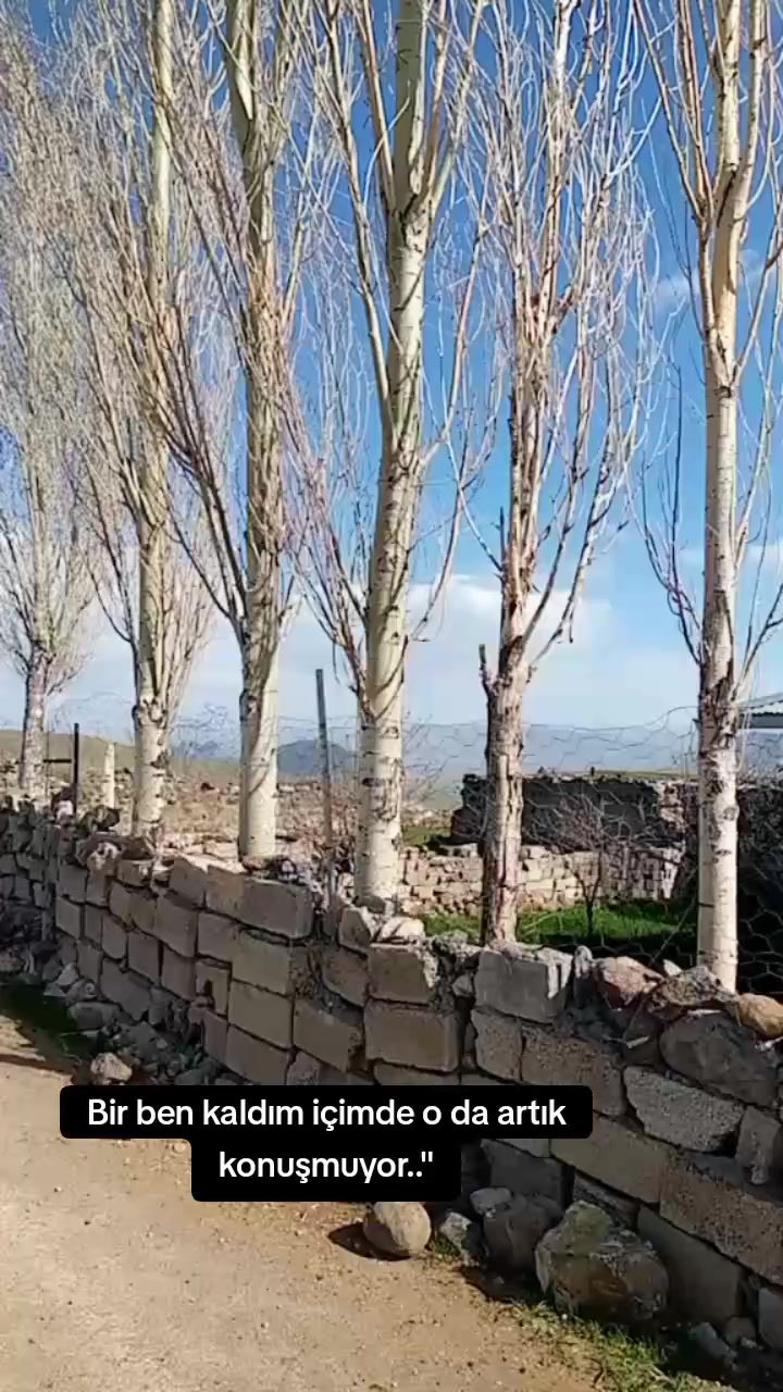 @"🦋