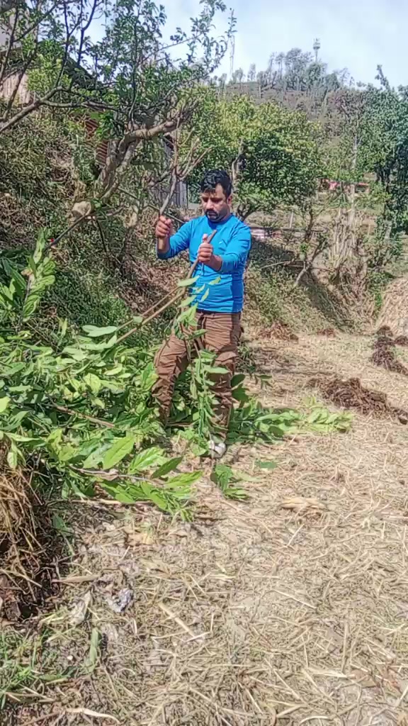 @udashi pawan