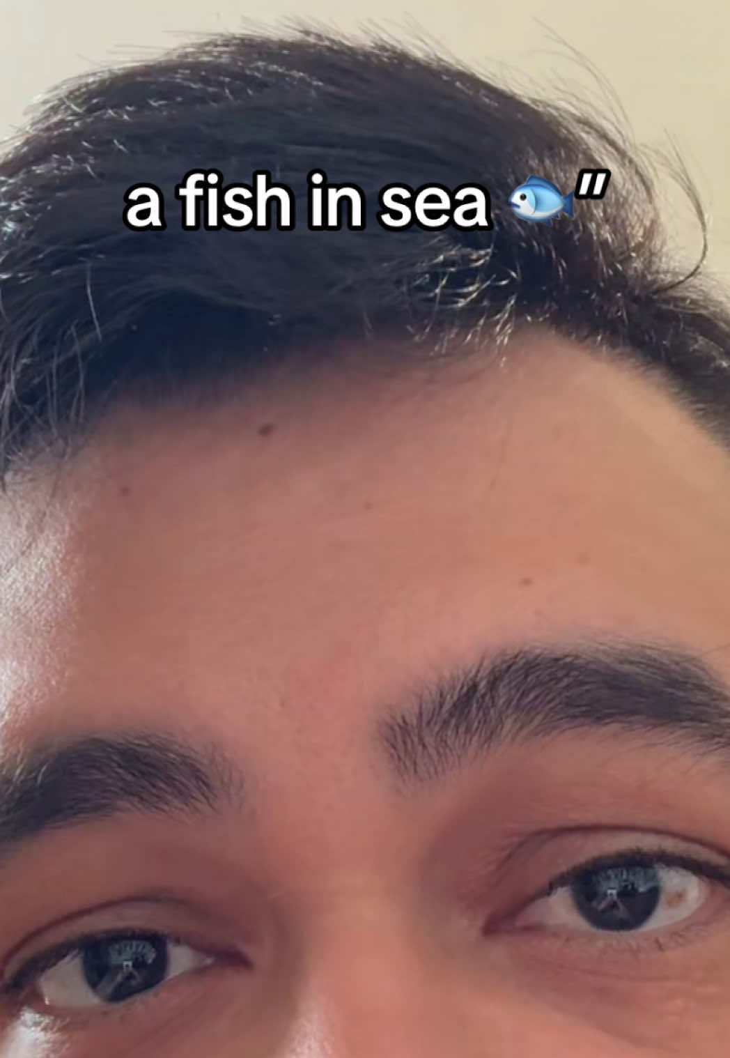@Hank (Sneakyseabear)