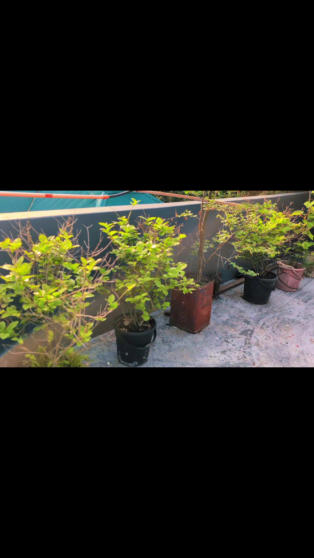 @আহমেদ সাব্বির