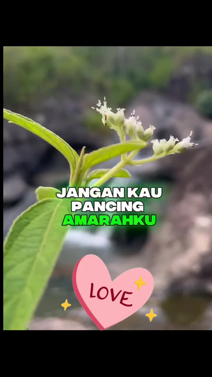 @DIYANA 2️⃣
