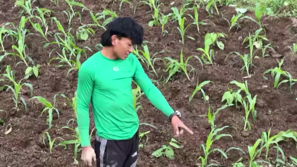 @फिरन्ते 🔎💐🤗