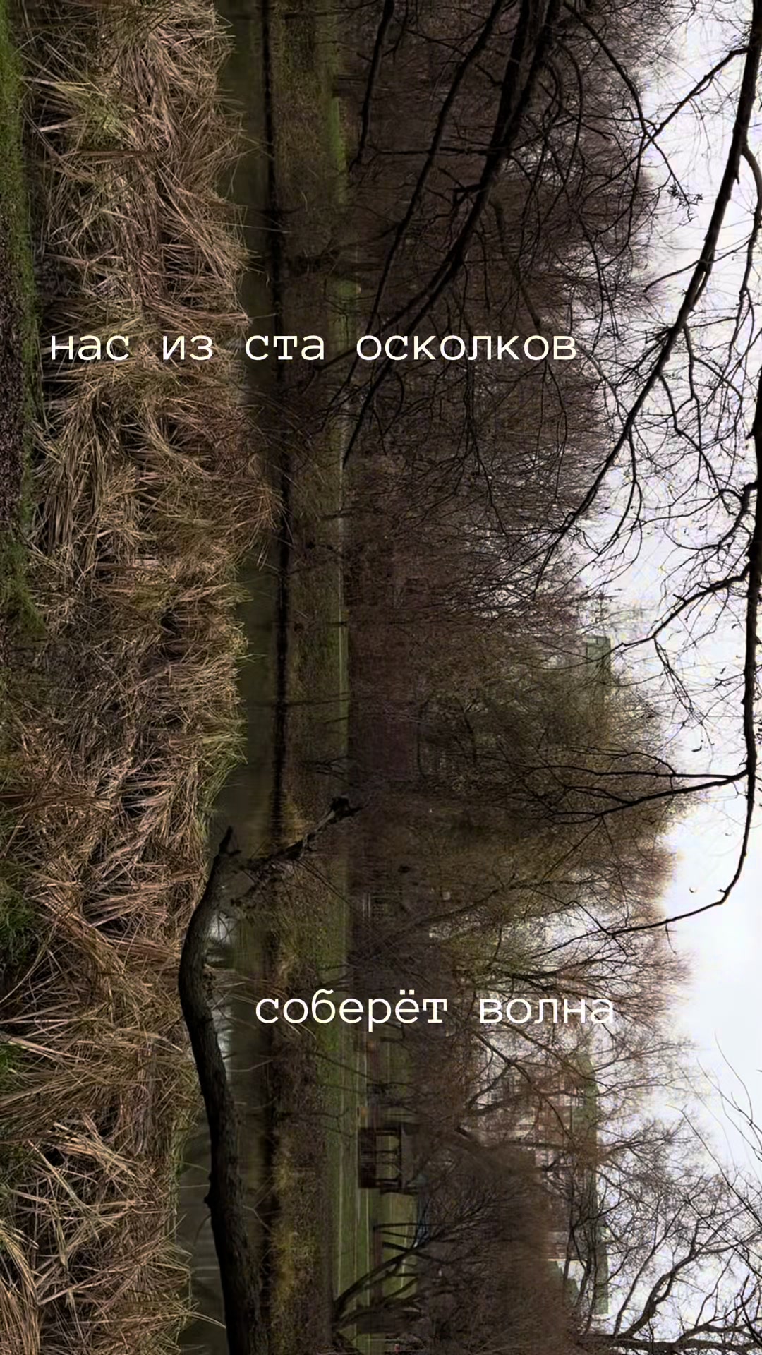 @вейвер