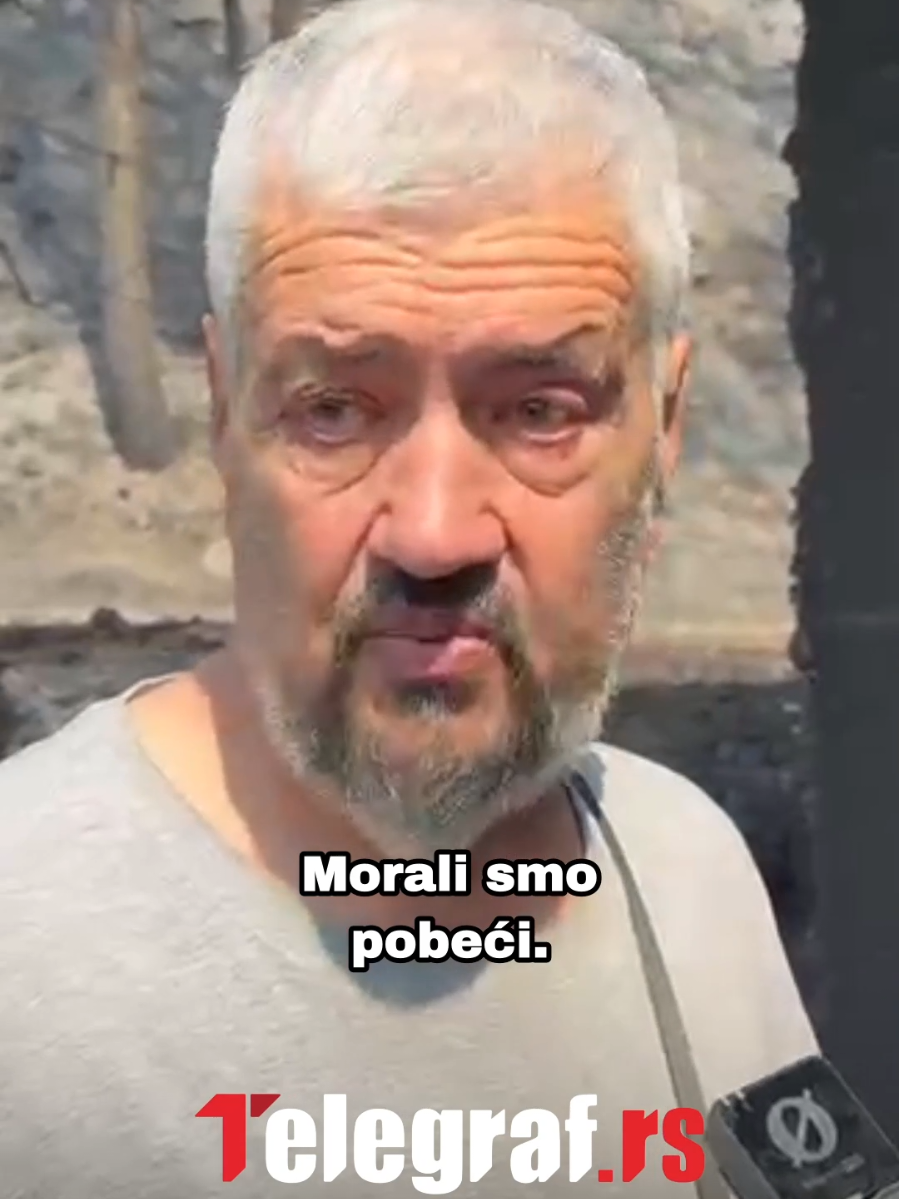 @telegrafrs