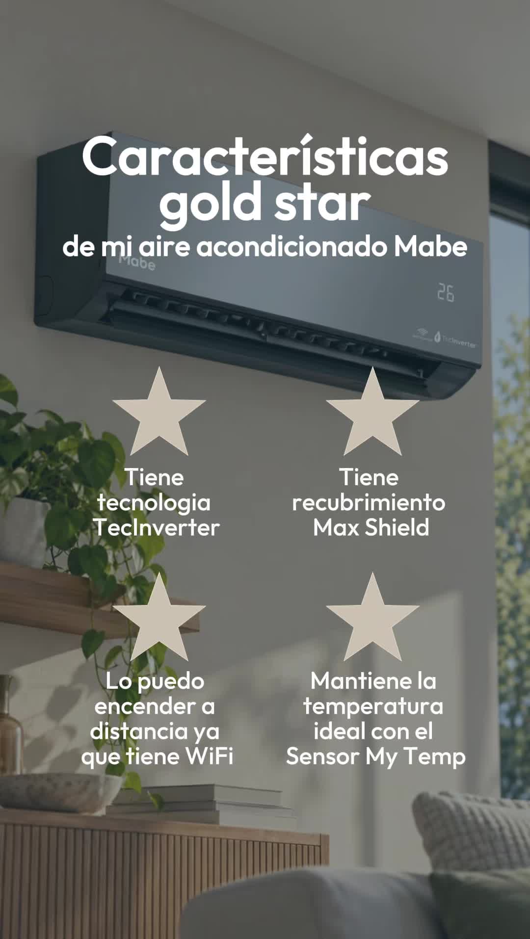 @Mabe Global