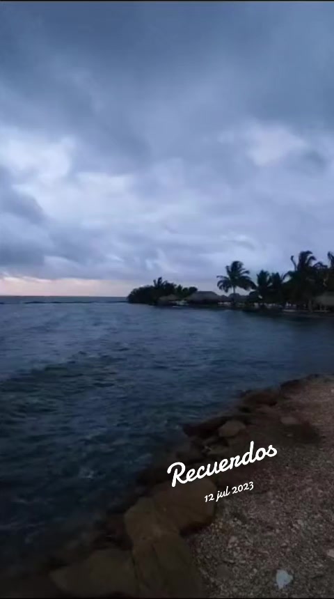 @Patricia Cogollo