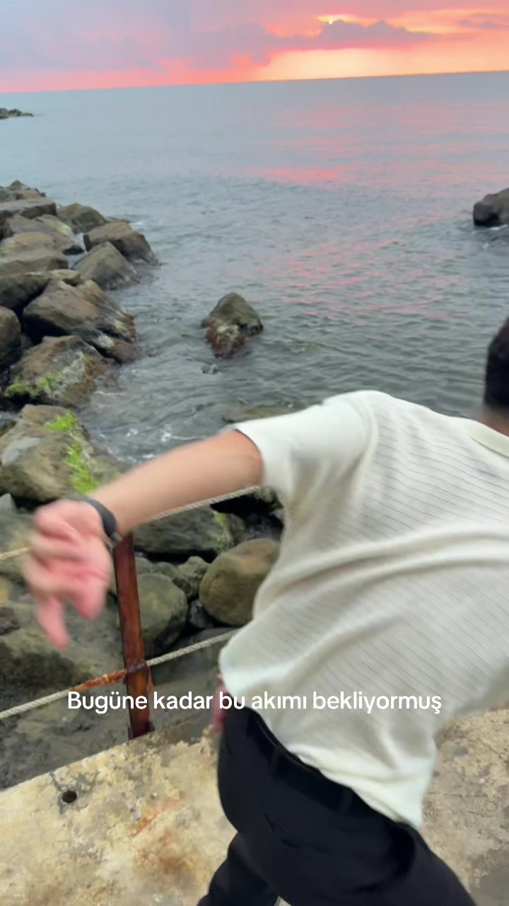 @Firuze Temel