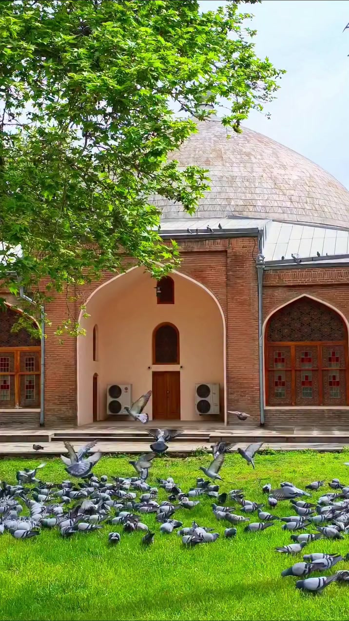@Xəyal Zeynalov
