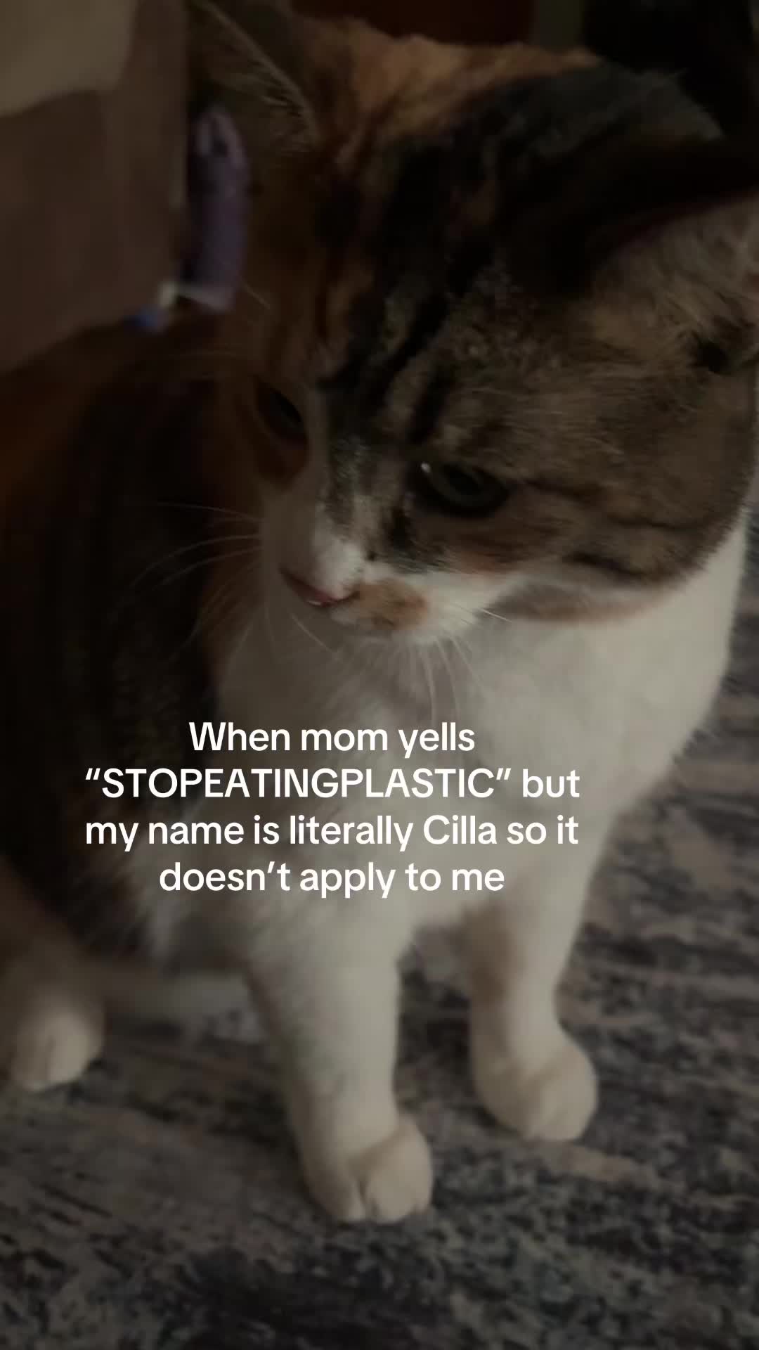 @𝒥𝐿𖤐 击̸