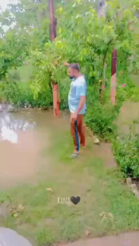@umerrajpoot881