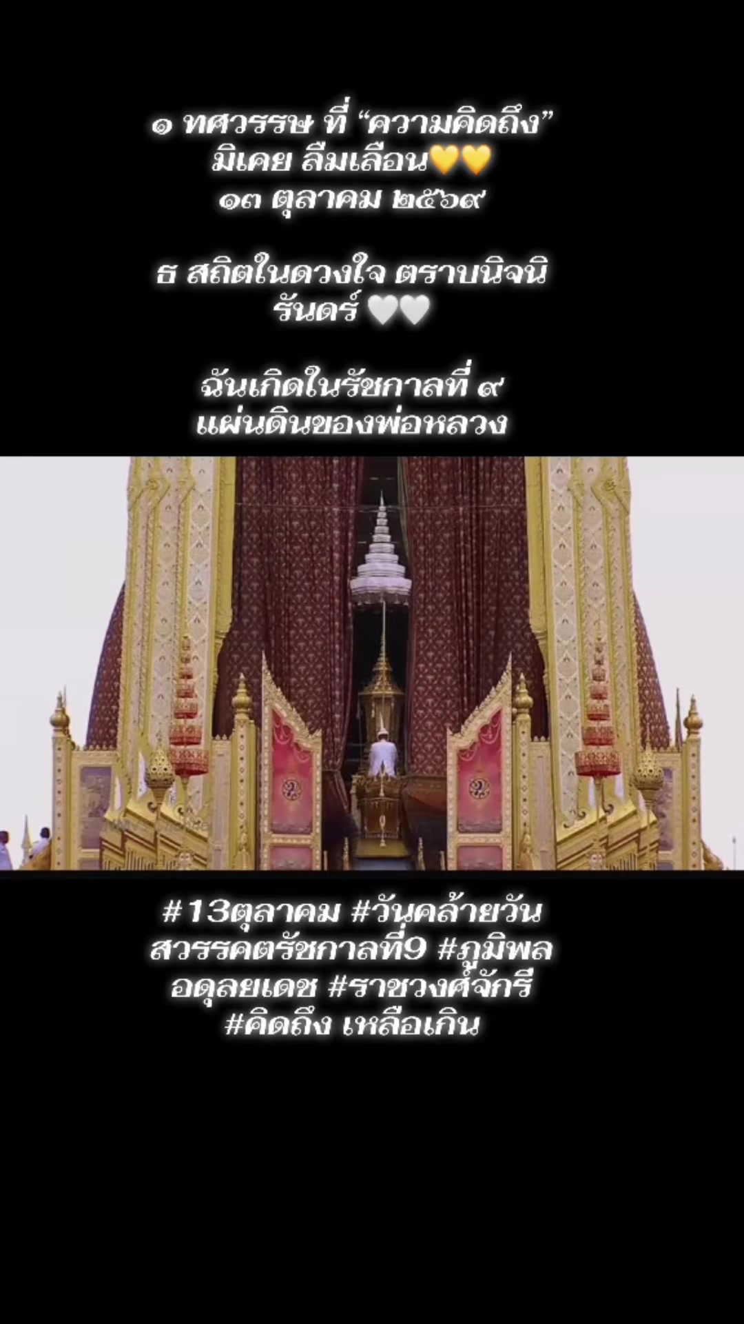 @🪭💰Fairy_Rainy🍃🫧❤️2M❤️