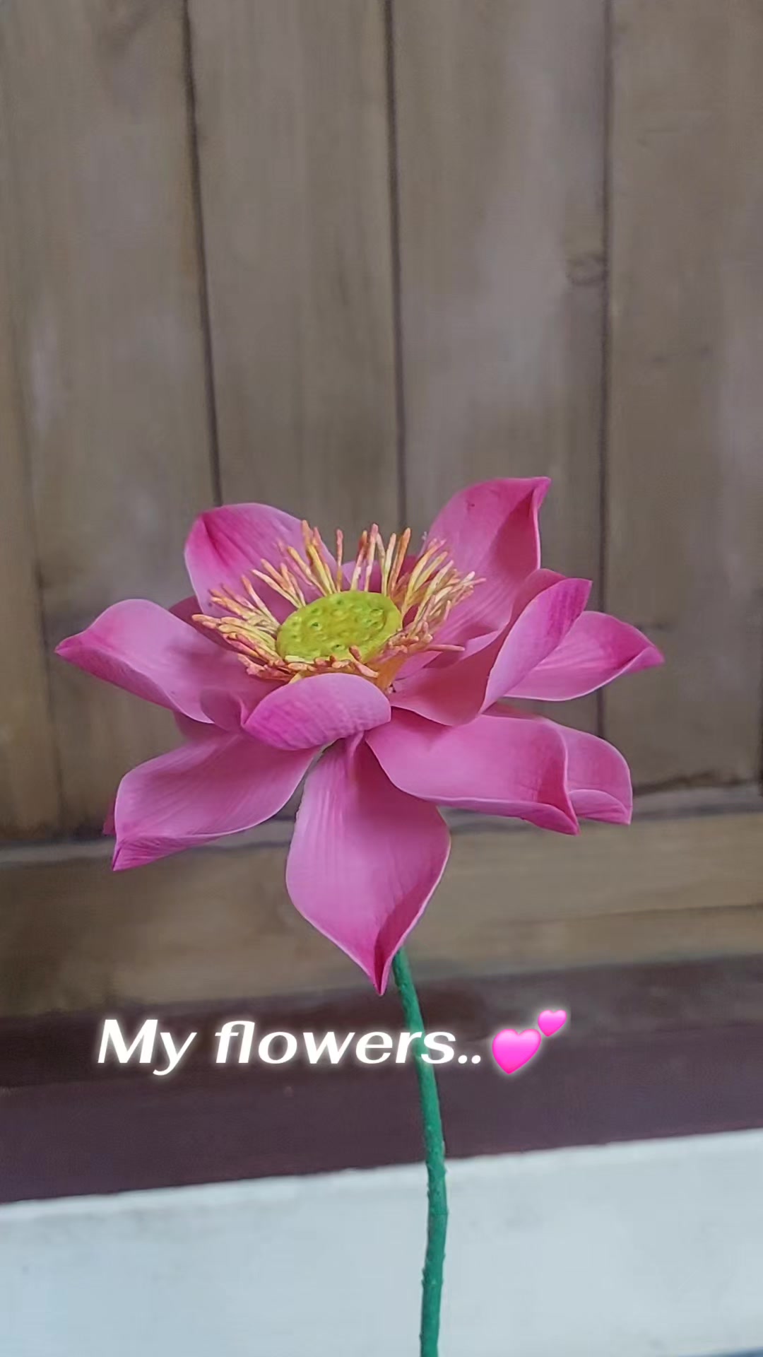 @Arthitayar-นุ่น🥰🥰
