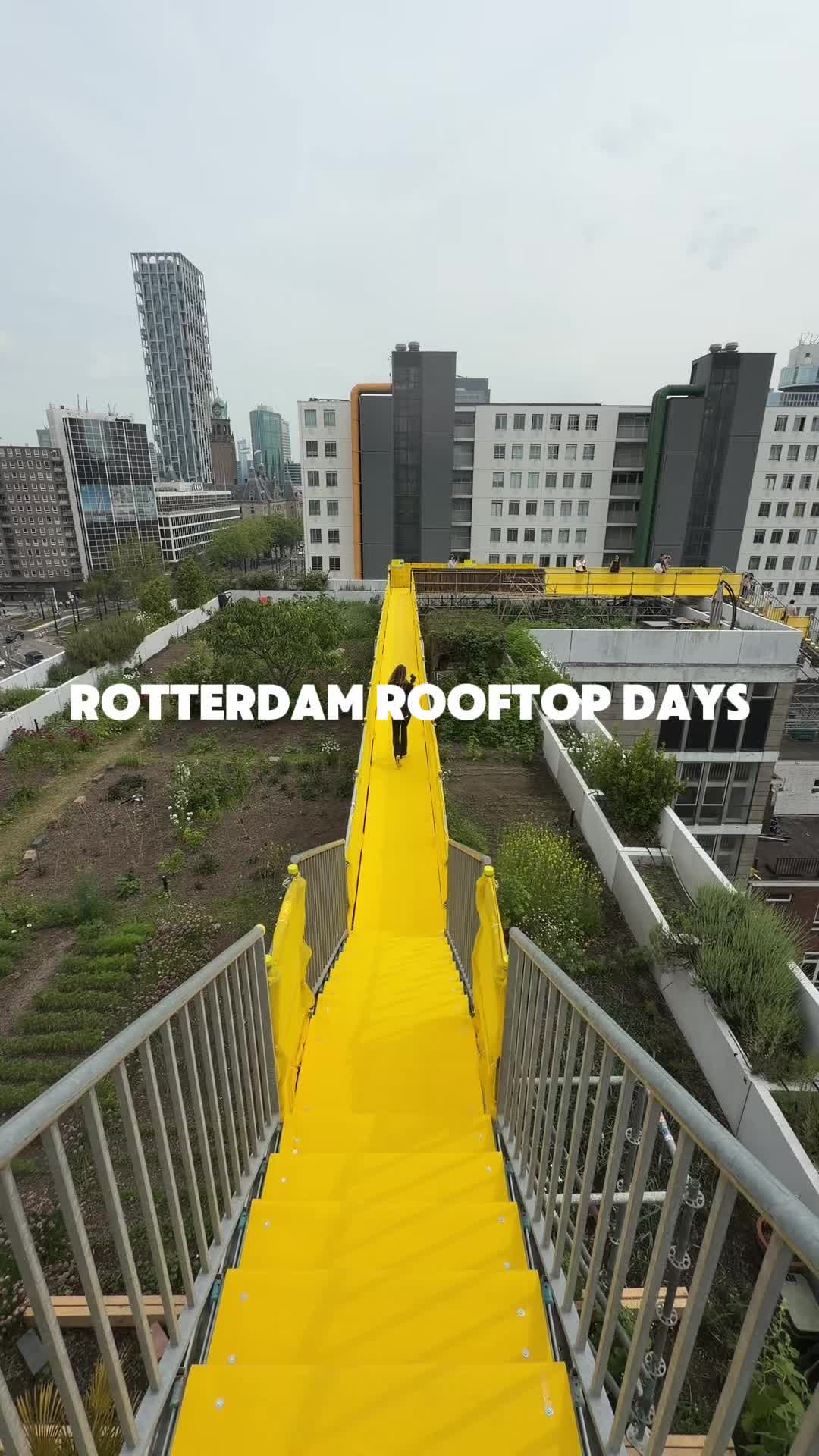 @Rotterdam Info 💚