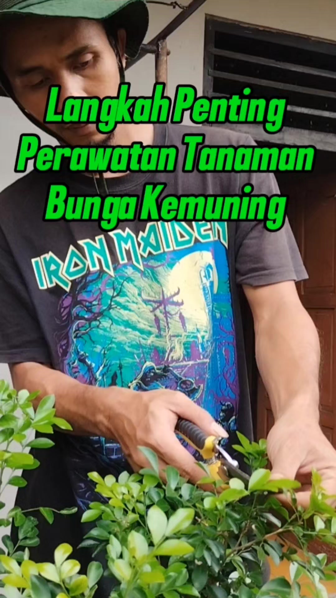 @Bukit Farming