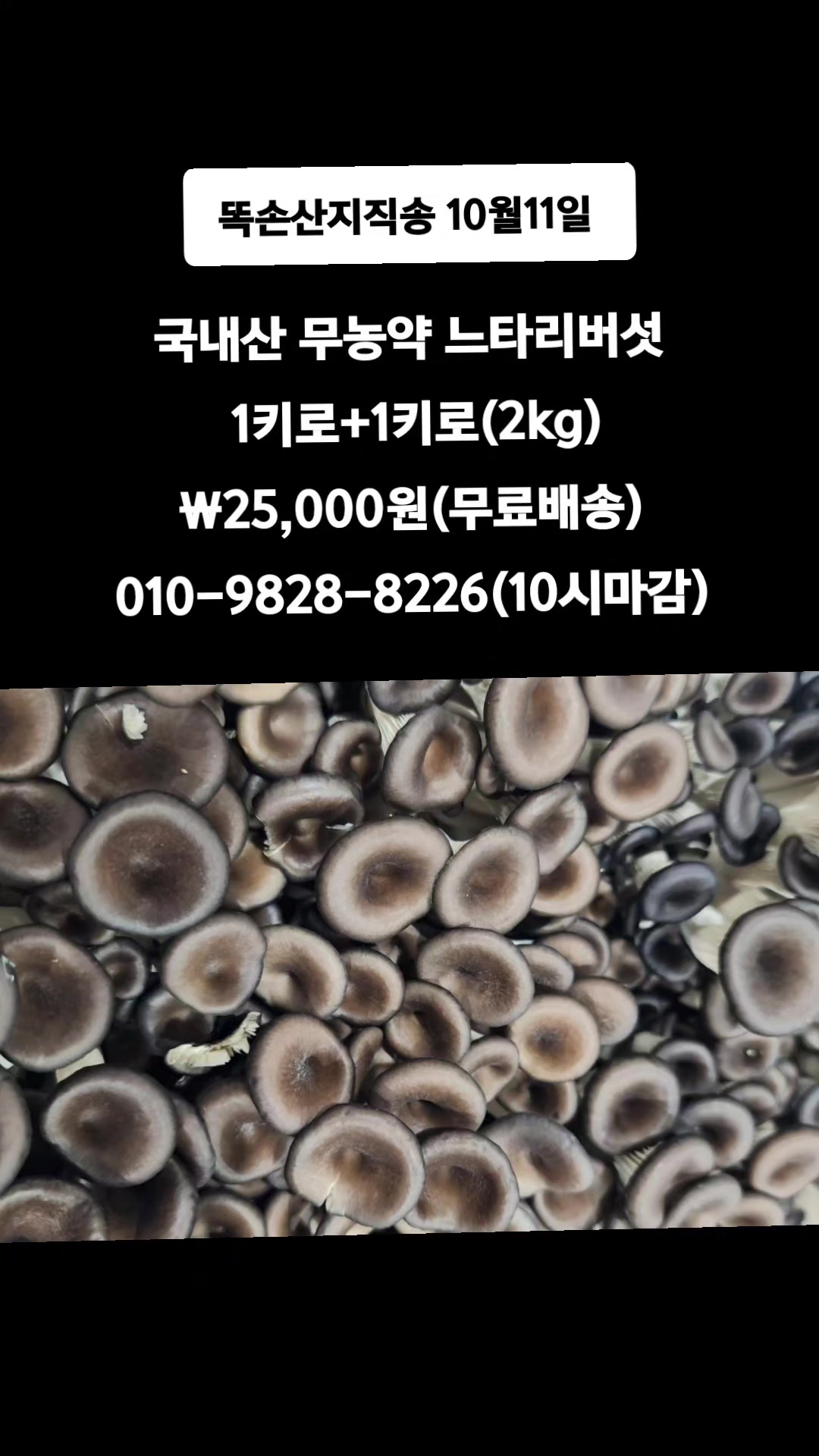 @똑손