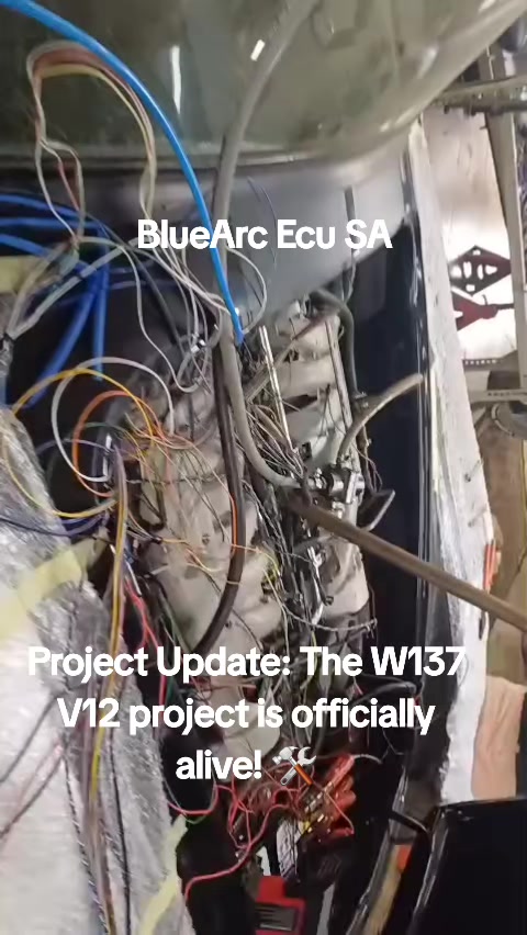 @BlueArc Ecu South Africa