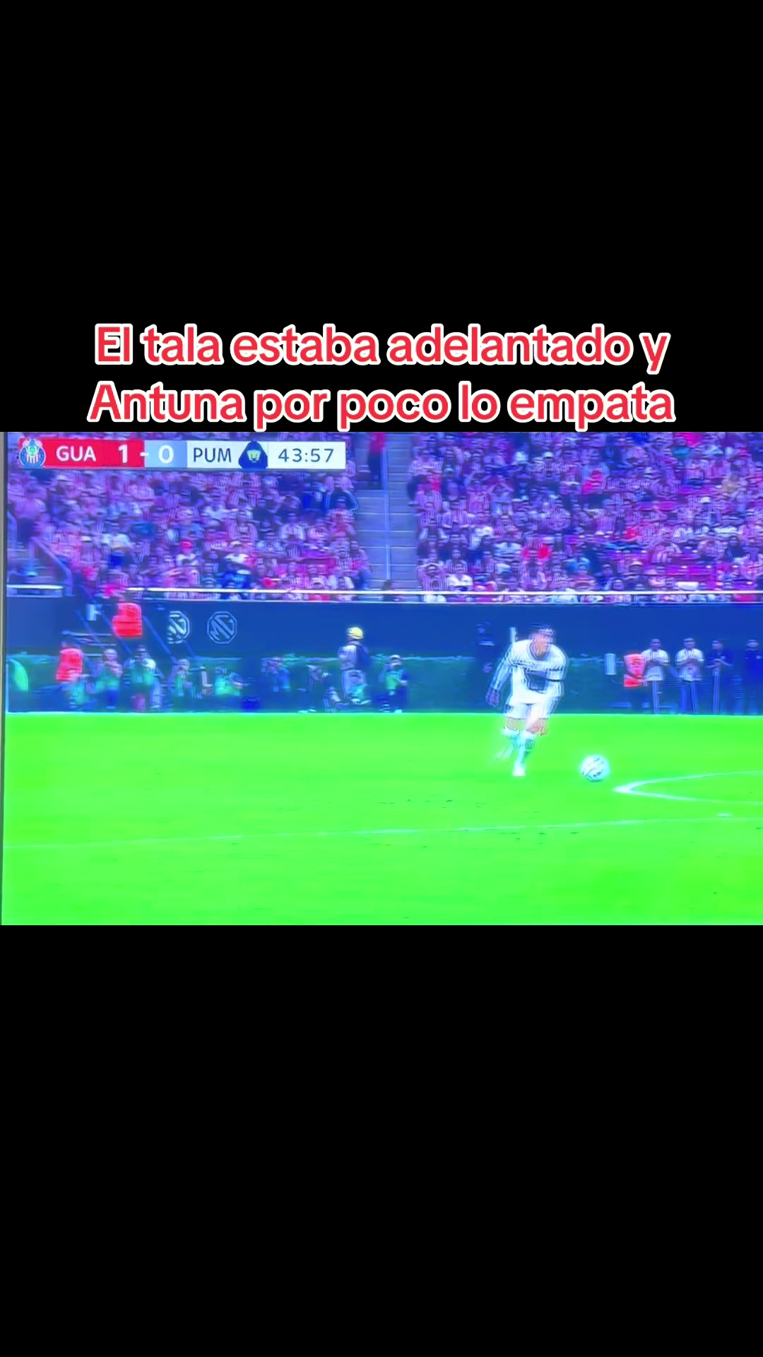 @Javier Salazar Rizo