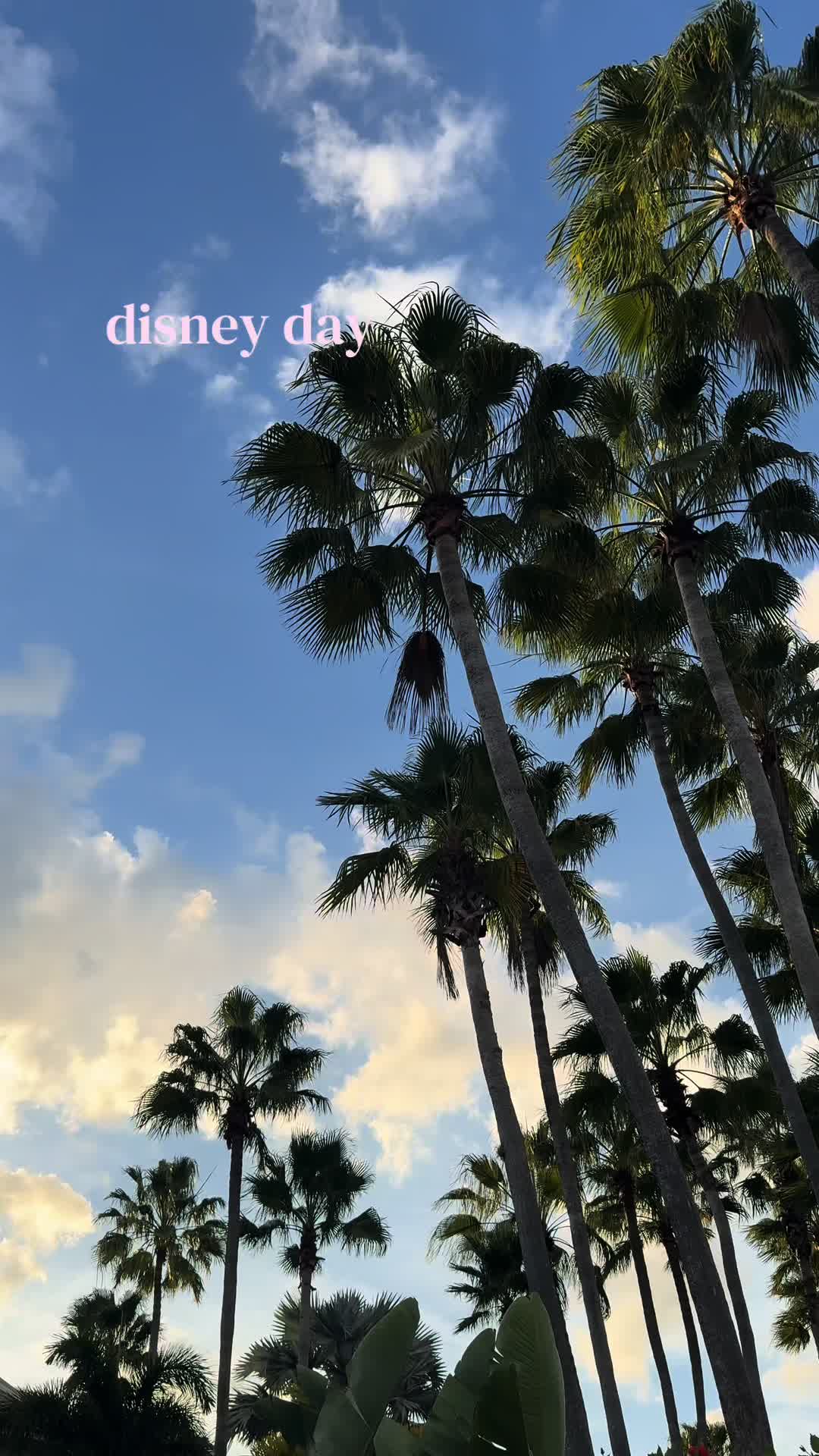 @olyvia 🧸