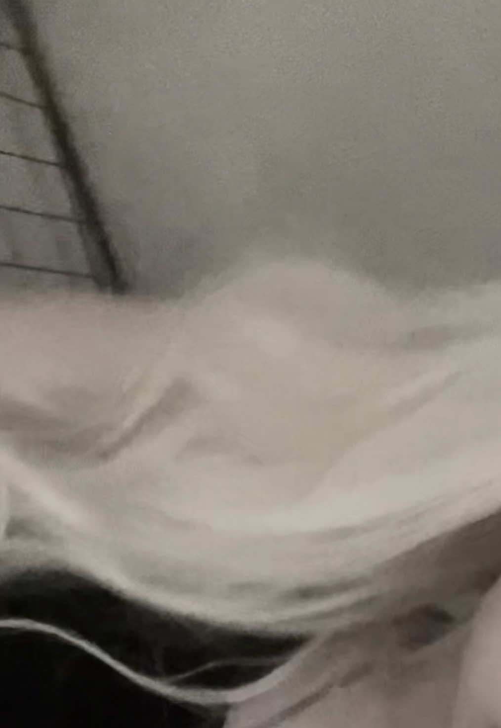 @пипидастр